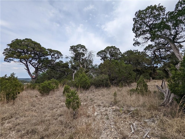 19712 Tyler Trl, Lago Vista, TX 78645 - photo 18