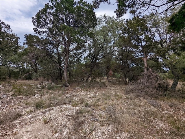 19712 Tyler Trl, Lago Vista, TX 78645 - photo 19