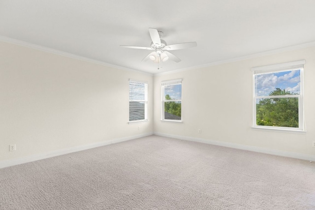 1209 Half Hitch Trl, Georgetown, TX 78633 - photo 15