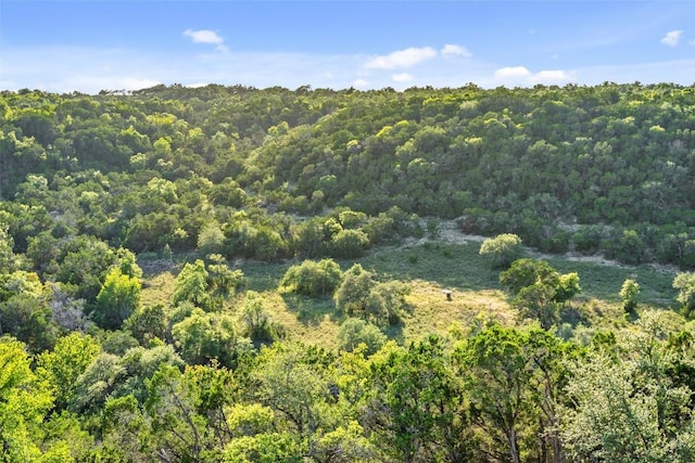 19201 Moreh Peak Pass, Austin, TX 78738 - photo 27