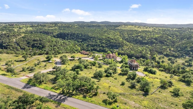 19201 Moreh Peak Pass, Austin, TX 78738 - photo 5