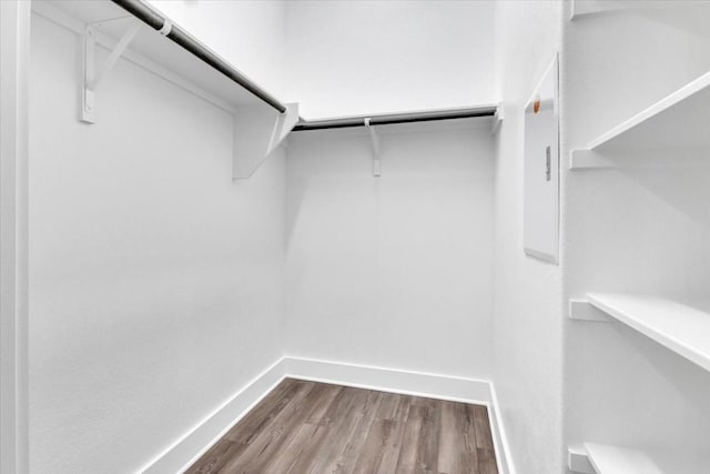 8609 San Giano Cv, Round Rock, TX 78665 - walk in closet featuring dark wood finished floors