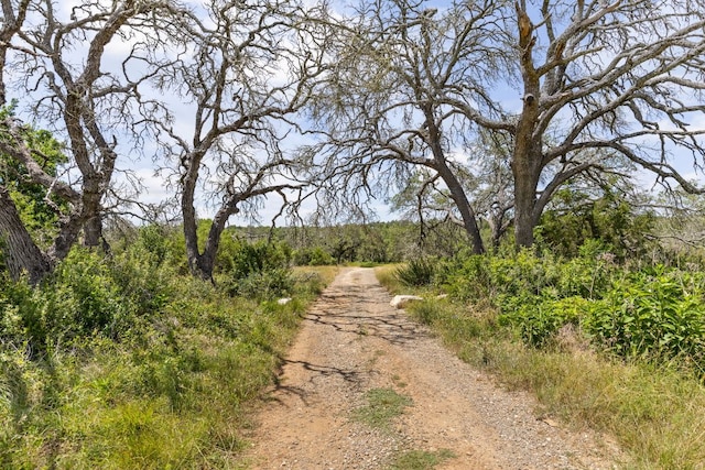142 Yarbrough Dr, Dripping Springs, TX 78620 - photo 30