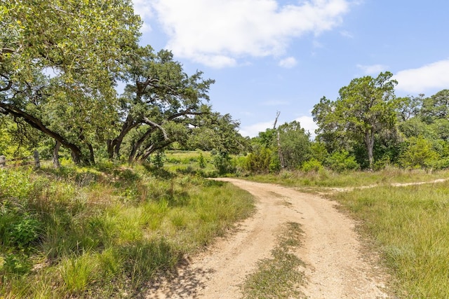 142 Yarbrough Dr, Dripping Springs, TX 78620 - photo 31