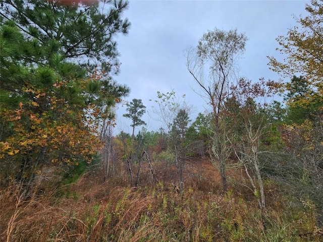 LOT636 Mahalo Ct, Bastrop, TX 78602