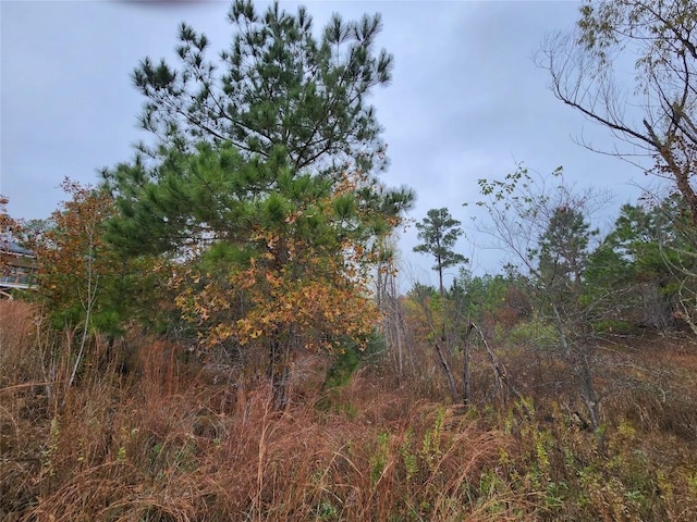 LOT636 Mahalo Ct, Bastrop, TX 78602