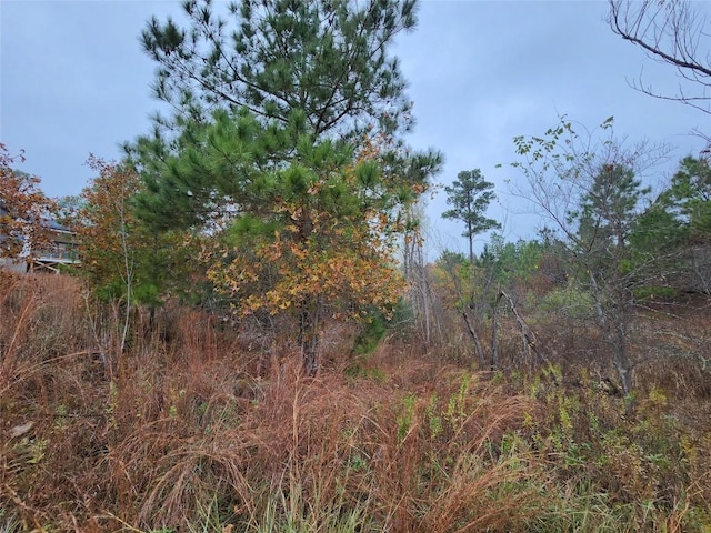 LOT636 Mahalo Ct, Bastrop, TX 78602
