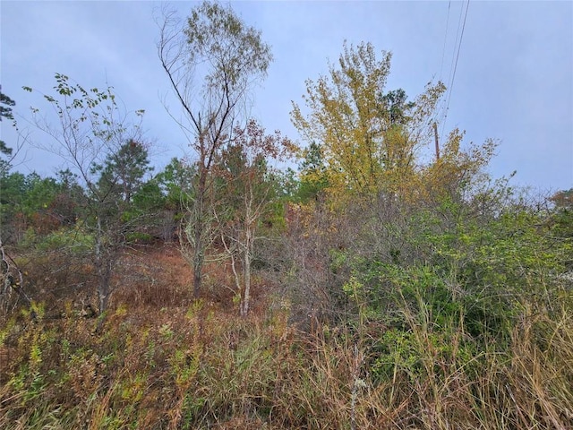 LOT636 Mahalo Ct, Bastrop, TX 78602