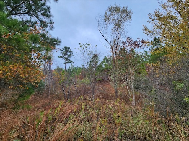 LOT636 Mahalo Ct, Bastrop, TX 78602