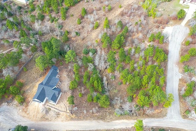 LOT636 Mahalo Ct, Bastrop, TX 78602