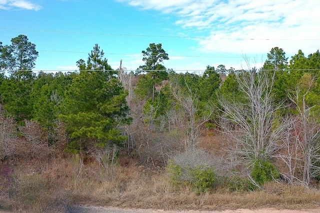 LOT636 Mahalo Ct, Bastrop, TX 78602