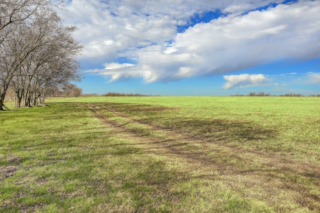 000 County Rd 427, Thrall, TX 76578 - photo 13