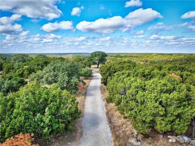 14602 Rock Cliff Cv, Leander, TX 78641 - photo 1