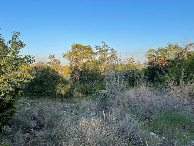 14602 Rock Cliff Cv, Leander, TX 78641 - photo 10