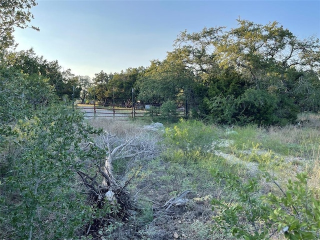 14602 Rock Cliff Cv, Leander, TX 78641 - photo 12