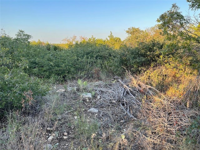 14602 Rock Cliff Cv, Leander, TX 78641 - photo 13