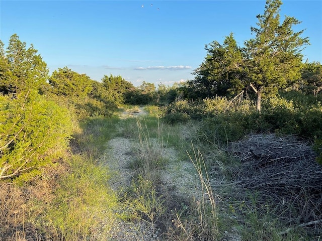 14602 Rock Cliff Cv, Leander, TX 78641 - photo 19
