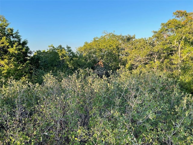 14602 Rock Cliff Cv, Leander, TX 78641 - photo 20