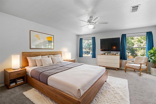 506 Turtle Back Cv, Killeen, TX 76542 - carpeted bedroom featuring multiple windows and ceiling fan