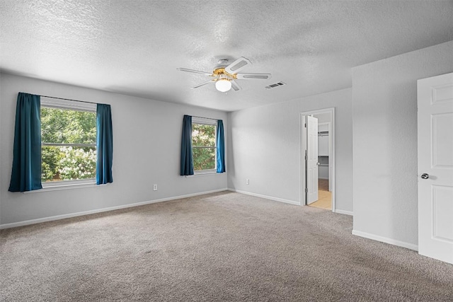 506 Turtle Back Cv, Killeen, TX 76542 - carpeted empty room with ceiling fan, a textured ceiling, and healthy amount of natural light