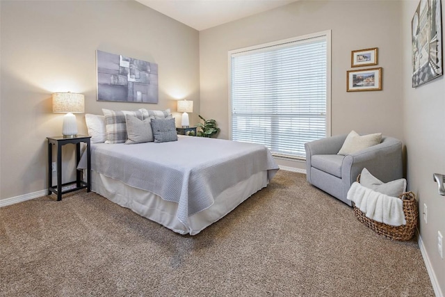1002 Capistrano Ct, College Station, TX 77845 - photo 29