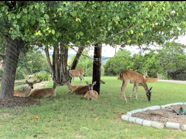 6605 Verde Vista Dr, Lago Vista, TX 78645