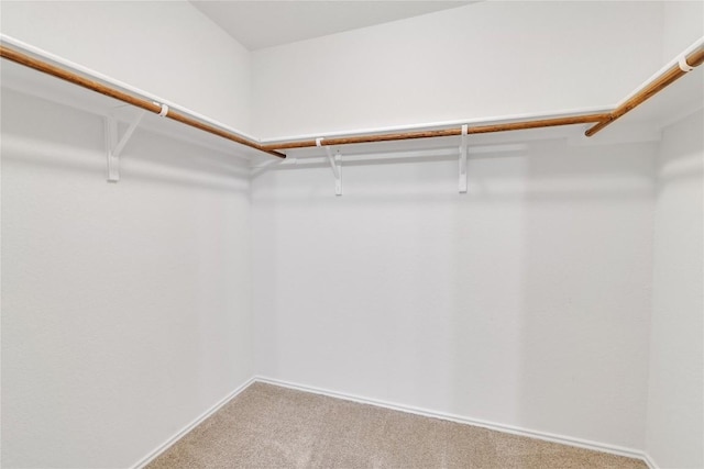 14802 Tuff Rd, Manor, TX 78653 - spacious closet with carpet floors