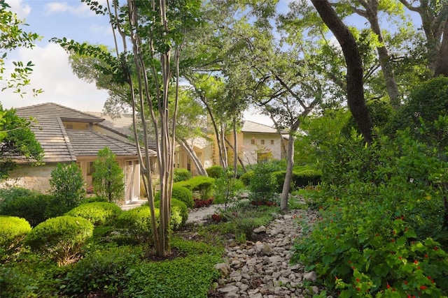 3200 Riva Ridge Rd, Austin, TX 78746 - photo 6