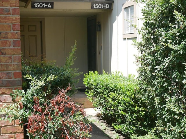 1501 W Braker Ln Unit 1262B, Austin, TX 78758 - photo 31