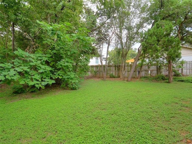 3609 Winfield Cv, Austin, TX 78704 - photo 28
