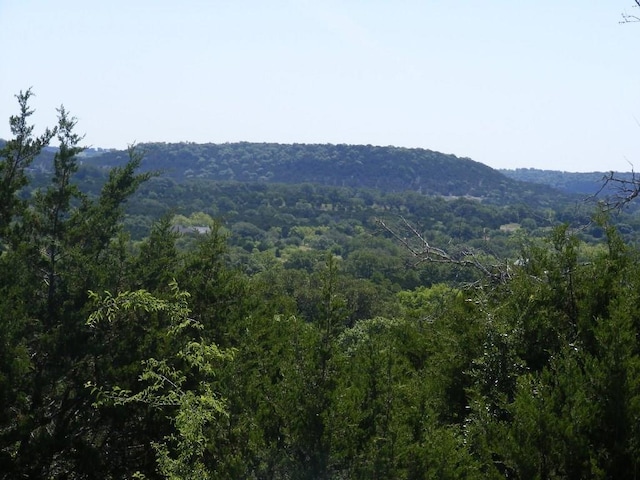 LOT-646 Wagon Wheel Trl, Bertram, TX 78605