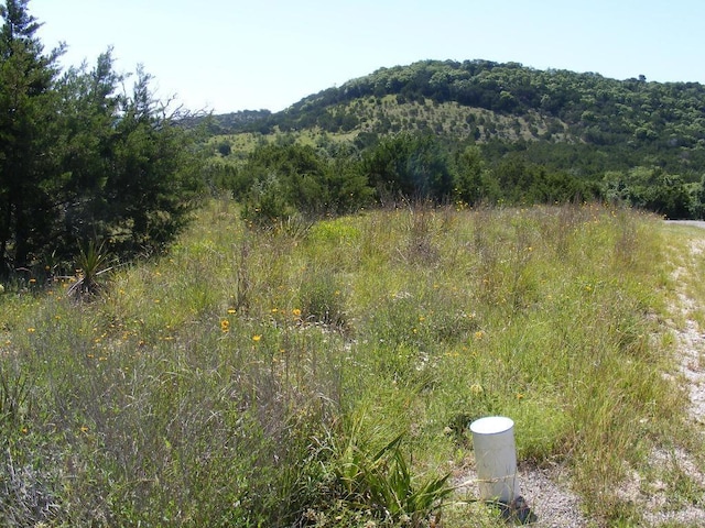 LOT-646 Wagon Wheel Trl, Bertram, TX 78605