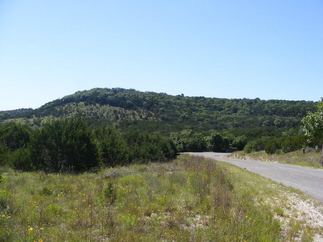 LOT-646 Wagon Wheel Trl, Bertram, TX 78605