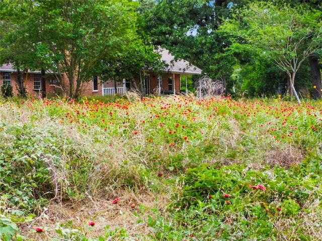 428 Gotier Trace Rd, Smithville, TX 78957 - view of yard
