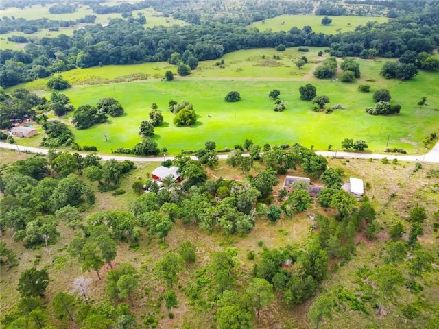 428 Gotier Trace Rd, Smithville, TX 78957 - overview of rural landscape