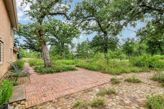 428 Gotier Trace Rd, Smithville, TX 78957 - view of patio