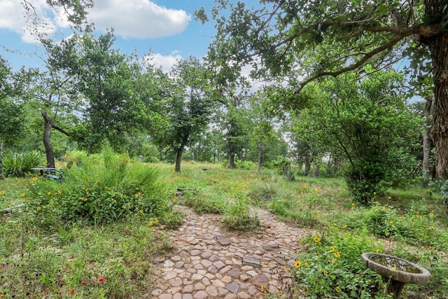 428 Gotier Trace Rd, Smithville, TX 78957 - view of local wilderness