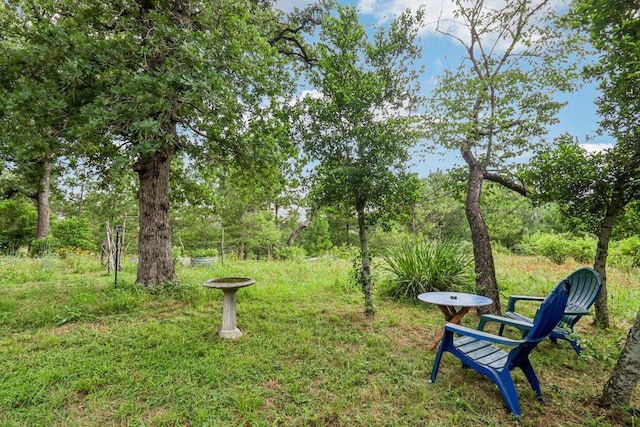 428 Gotier Trace Rd, Smithville, TX 78957 - view of yard