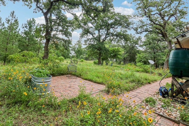 428 Gotier Trace Rd, Smithville, TX 78957 - view of yard with a patio