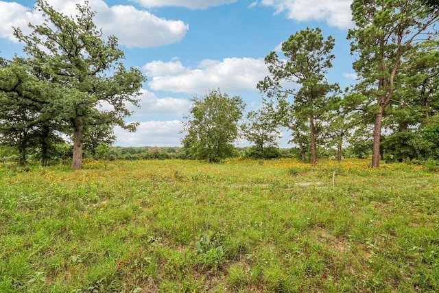 428 Gotier Trace Rd, Smithville, TX 78957 - view of local wilderness