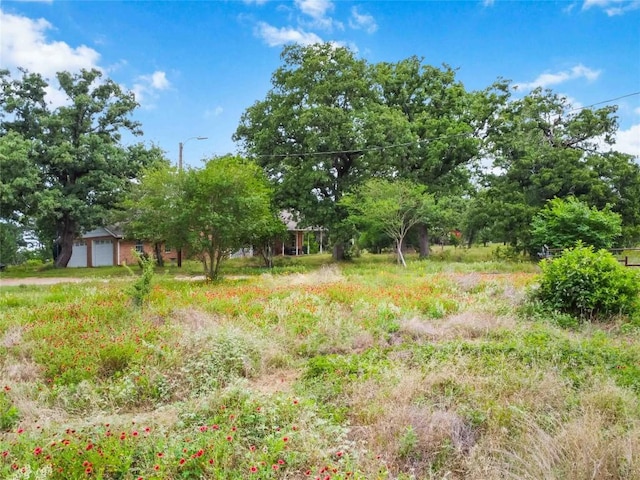 428 Gotier Trace Rd, Smithville, TX 78957 - view of yard