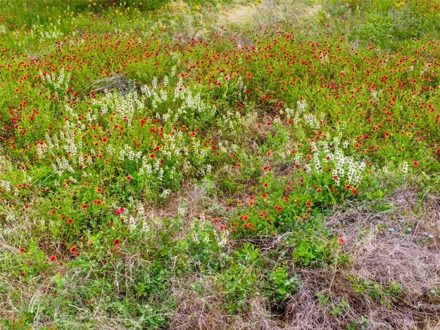 428 Gotier Trace Rd, Smithville, TX 78957 - view of undeveloped land