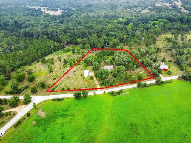 428 Gotier Trace Rd, Smithville, TX 78957 - view of property location with a heavily wooded area and property boundaries highlighted