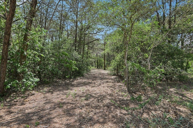 148 Oak Ridge Dr, Cedar Creek, TX 78612 - photo 40