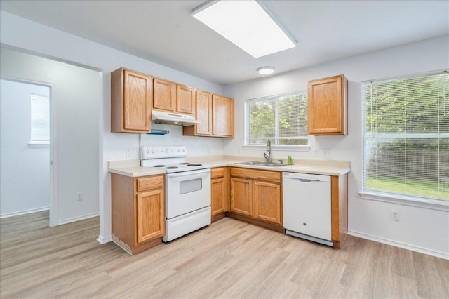 618 Lavaca Loop, Elgin, TX 78621 - kitchen featuring white appliances, under cabinet range hood, light wood finished floors, and light countertops