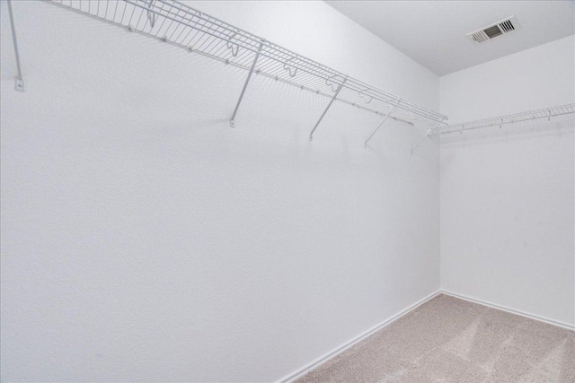 618 Lavaca Loop, Elgin, TX 78621 - spacious closet featuring carpet
