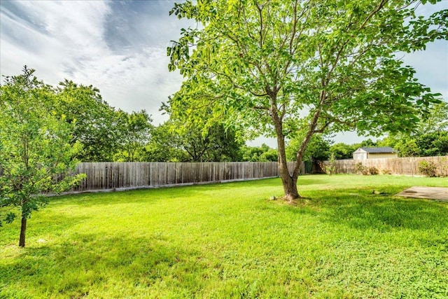 618 Lavaca Loop, Elgin, TX 78621 - view of fenced backyard