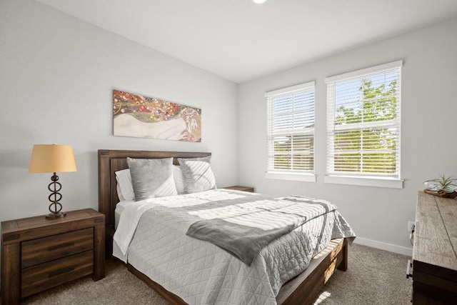 2705 Grizzly Way, Leander, TX 78641 - carpeted bedroom with baseboards