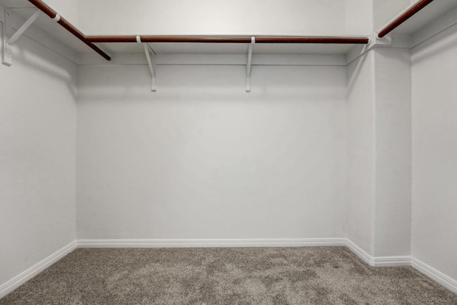 700 Mandarin Flyway Unit 903, Cedar Park, TX 78613 - photo 25
