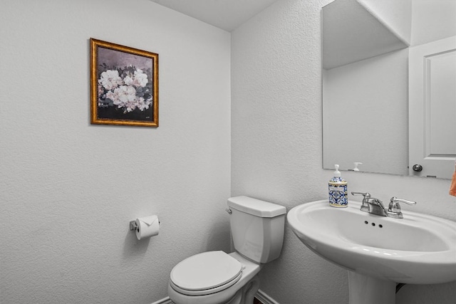 245 Red Buckeye Loop, Liberty Hill, TX 78642 - photo 22